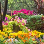 sias-geles-sodinkite-rudeni-i-vaismedziu-kerus-pamirsite-apie.webp.webp